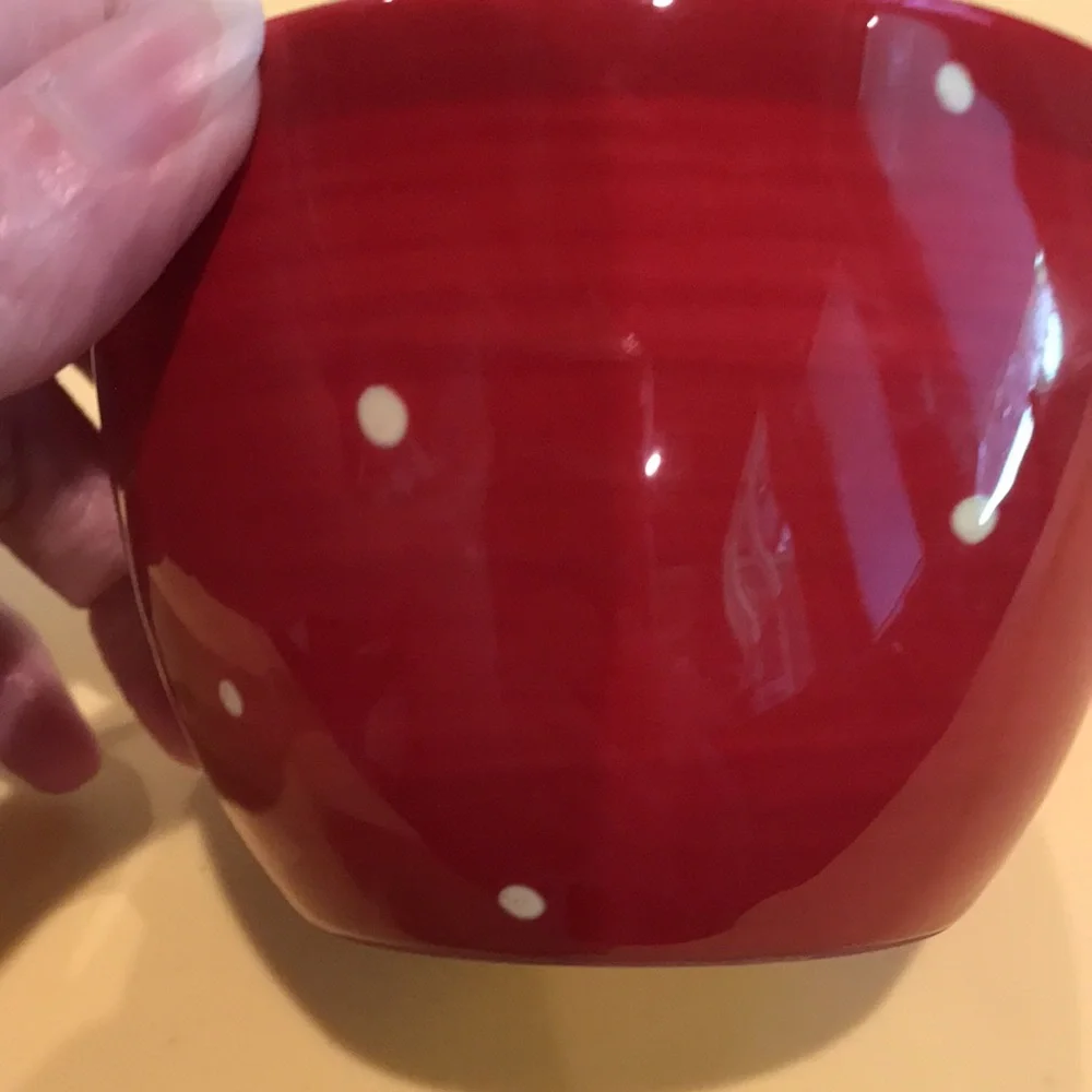 Pier 1 Bowls Hand Painted Earthenware Owl Bowl & Red Bowl